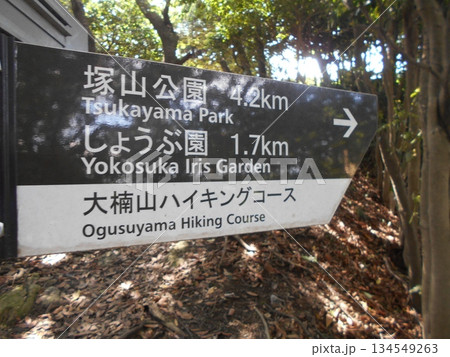 大楠山ハイキングコースその18 134549263