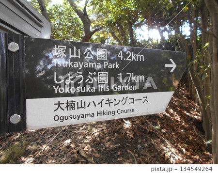 大楠山ハイキングコースその17 134549264