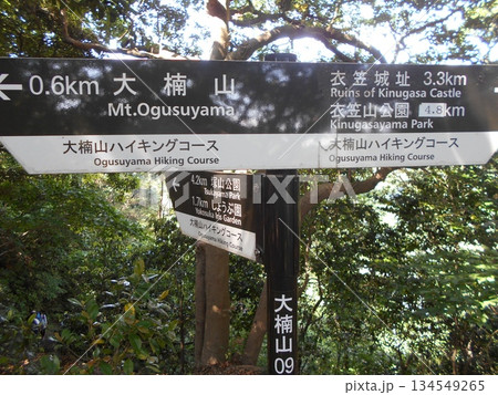 大楠山ハイキングコースその12 134549265