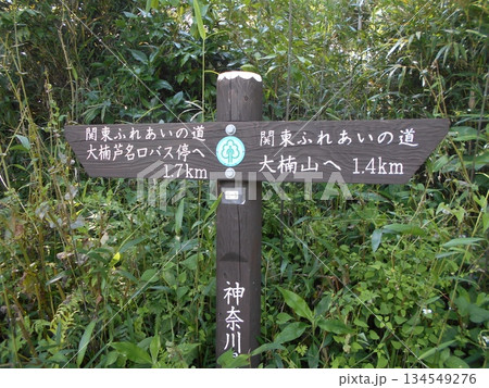大楠山ハイキングコースその5 134549276