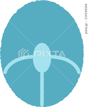 手書き風のシンプルアイコンイラスト　マウス 134549304