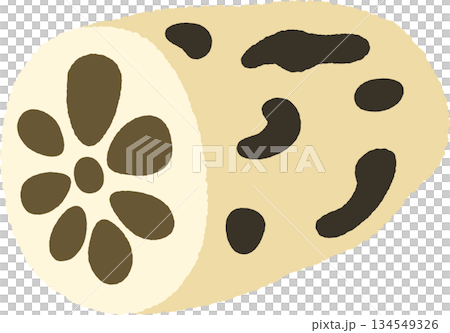 手書き風の単品アイコンイラスト 野菜 レンコン 手書き風の単品アイコンイラスト 野菜 レンコン 134549326