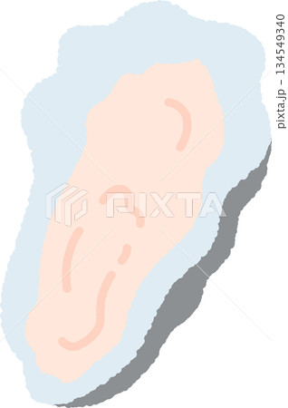 手書き風の単品アイコンイラスト　貝　牡蠣 134549340