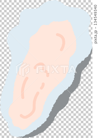 手書き風の単品アイコンイラスト　貝　牡蠣 134549340