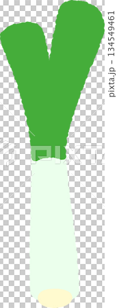 手繪單一圖示插圖蔬菜蔥 134549461