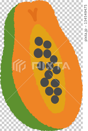 Hand-drawn single icon illustration Fruit Papaya 134549475