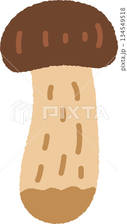 手書き風の単品アイコンイラスト　キノコ　松茸 134549518