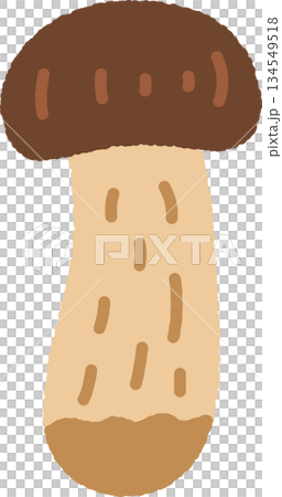 手書き風の単品アイコンイラスト　キノコ　松茸 134549518