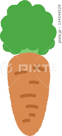 手書き風の単品アイコンイラスト　野菜　人参 134549529