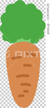 手書き風の単品アイコンイラスト　野菜　人参 134549529