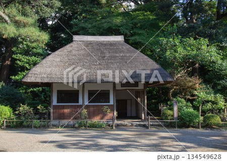 小石川後楽園の茅葺き東屋 日本庭園に佇む伝統的な和風建物 小石川後楽園の茅葺き東屋 日本庭園に佇む伝統的な和風建物 134549628