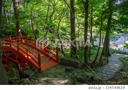 小石川後楽園の朱色の橋と水辺 新緑に包まれた静かな日本庭園風景 小石川後楽園の朱色の橋と水辺 新緑に包まれた静かな日本庭園風景 134549629