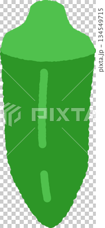 Hand-drawn single icon illustration Vegetable Okra Hand-drawn single icon illustration Vegetable Okra 134549715