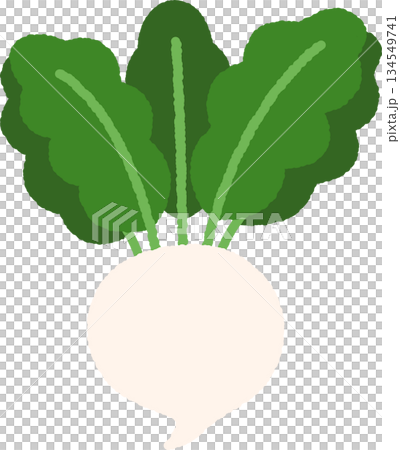 手書き風の単品アイコンイラスト　野菜　カブ 134549741
