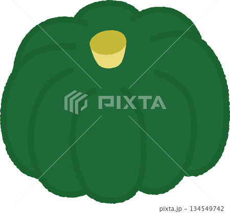 手書き風の単品アイコンイラスト　野菜　かぼちゃ 134549742