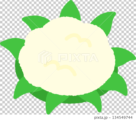 Hand-drawn simple icon illustration: Cauliflower Hand-drawn simple icon illustration: Cauliflower 134549744