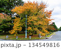 京都御苑の秋 134549816