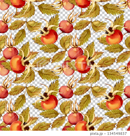 Seamless pattern of rose hips, berries, and green leaves isolated on a white background. Hand-drawn botanical rose hip branch. Clipart for a herbal tea label. Seamless pattern of rose hips, berries, and green leaves isolated on a white background. Hand-drawn botanical rose hip branch. Clipart for a herbal tea label. 134549837