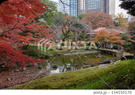 小石川後楽園の紅葉と池 都会のビル群に囲まれた秋の日本庭園風景 小石川後楽園の紅葉と池 都会のビル群に囲まれた秋の日本庭園風景 134550170
