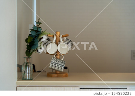 オシャレな室内　インテリア 134550225