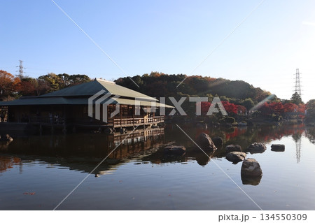 大仙公園　堺市　日本庭園　公園　紅葉スポット　紅葉狩り　堺市民　前撮り　前撮り撮影 134550309