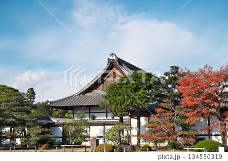 二条城 二条城 134550319
