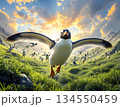 夕焼け空の下の緑の大地から飛び立つペンギンの群れ 134550459