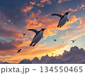 夕焼け空の下をバラバラに飛ぶペンギン達 134550465