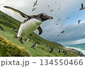 緑の大地から飛び立つペンギンの群れ 134550466