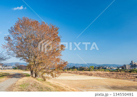 桂川の河川敷広場　松尾グランド　京都市 134550491