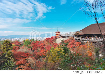 清水寺 清水寺 134550642