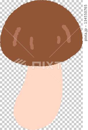手書き風の単品アイコンイラスト　キノコ 134550765