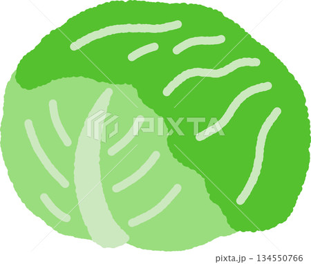 手書き風の単品アイコンイラスト　野菜　キャベツ 134550766