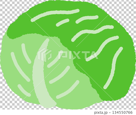 手書き風の単品アイコンイラスト　野菜　キャベツ 134550766