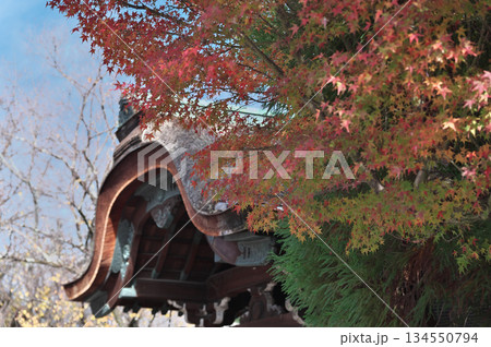 清水寺の紅葉 清水寺の紅葉 134550794