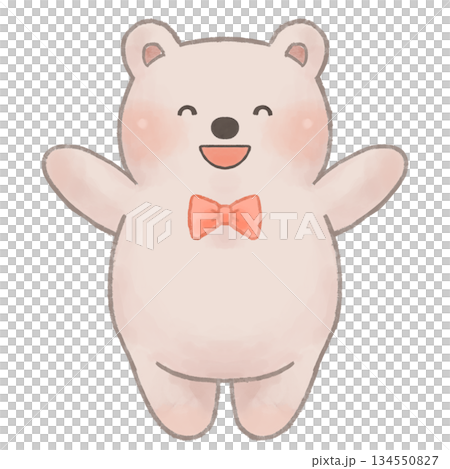 にっこり笑顔で手を広げるかわいいくまのイラスト 134550827