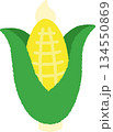 手書き風の単品アイコンイラスト　野菜　とうもろこし 134550869