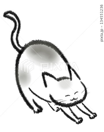 伸びをする太った猫のイラスト 134551236