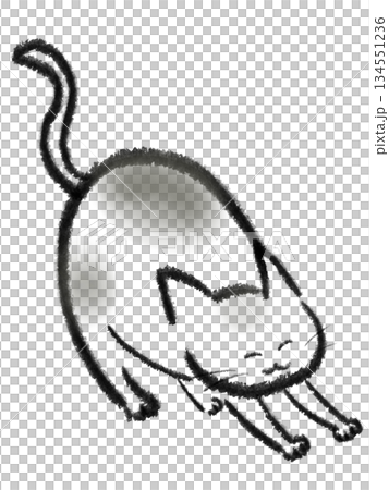 伸びをする太った猫のイラスト 134551236