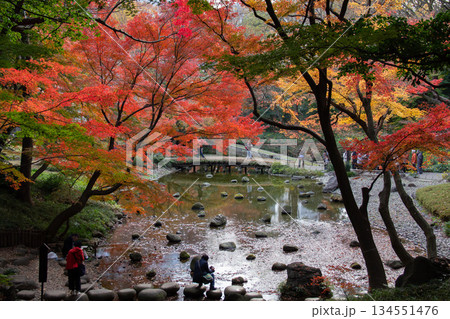 小石川後楽園の紅葉と池 飛び石と人々が織りなす色鮮やかな秋の日本庭園 134551476