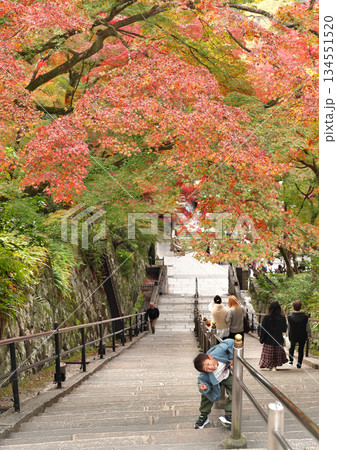 紅葉と少年 紅葉と少年 134551520