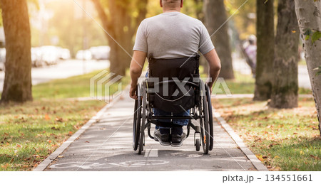 Handicapped man in wheelchair walk at the park alley Handicapped man in wheelchair walk at the park alley 134551661