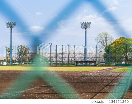 野球・ベースボール・球場 イメージ 野球・ベースボール・球場 イメージ 134551840