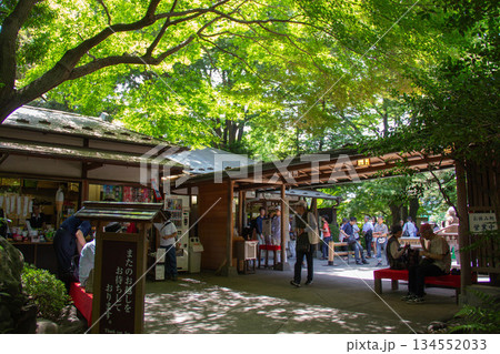 新緑の小石川後楽園 園内入り口・売店と休憩所に集う人々 日本庭園の初夏の風景 新緑の小石川後楽園 園内入り口・売店と休憩所に集う人々 日本庭園の初夏の風景 134552033