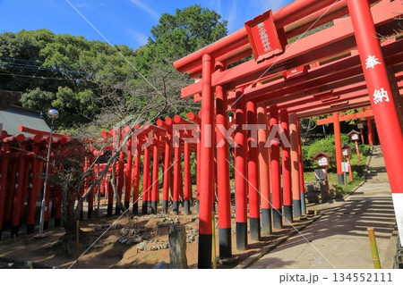 宮地嶽神社奥之宮稲荷神社の連なる赤い鳥居の景色 134552111