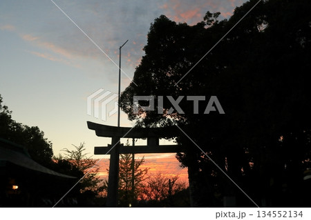 宮地嶽神社の鳥居越しに望む夕焼け空の景色 134552134