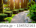 Luxury landscape design of the tropical garden.  134552163