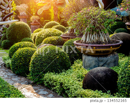Luxury landscape design of the tropical garden. Luxury landscape design of the tropical garden. 134552165