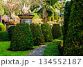 Luxury landscape design of the tropical garden.  134552187