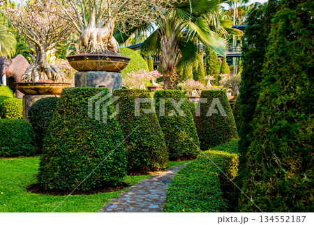 Luxury landscape design of the tropical garden. Luxury landscape design of the tropical garden. 134552187